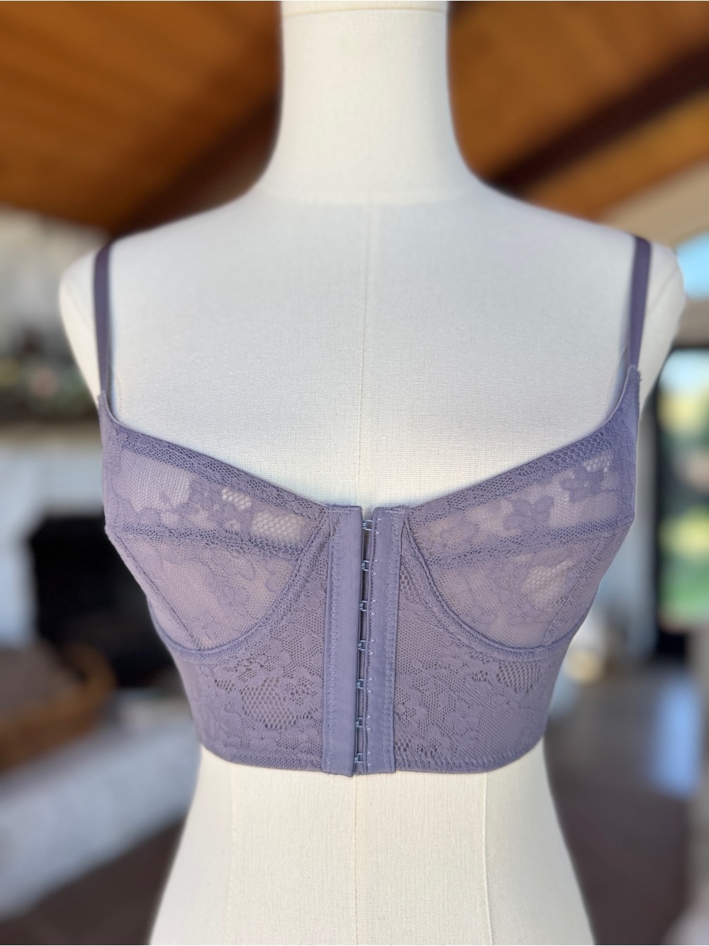Free People Secret Garden Lace Underwire Longline Corset Bra in Lavender